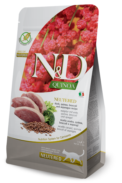 Quinoa Neutered